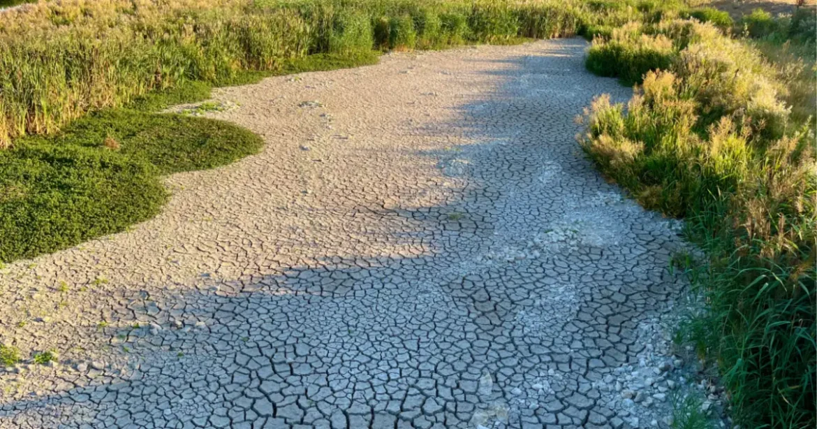 Élve megfő Magyarország a fojtogató hőkupolában? Megszólaltak a szakértők