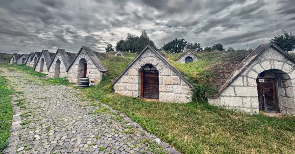 Kirándulsz Tokaj környékén? Kvízben tesztelheted a tudásod