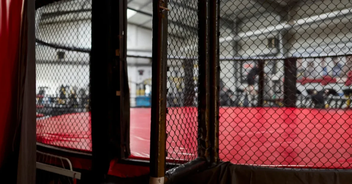 Magyar ketrecharcos UFC-szerződés előtt: Növényi Norbert