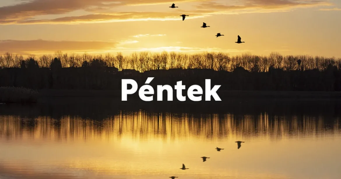 Nem tudok címet átírni, mert nem érkezett meg a tényleges cím szövege.
