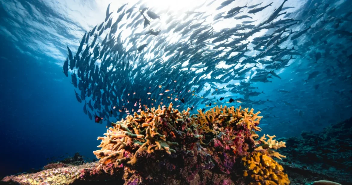 100 évesen tér vissza Attenborough ikonikus sorozata